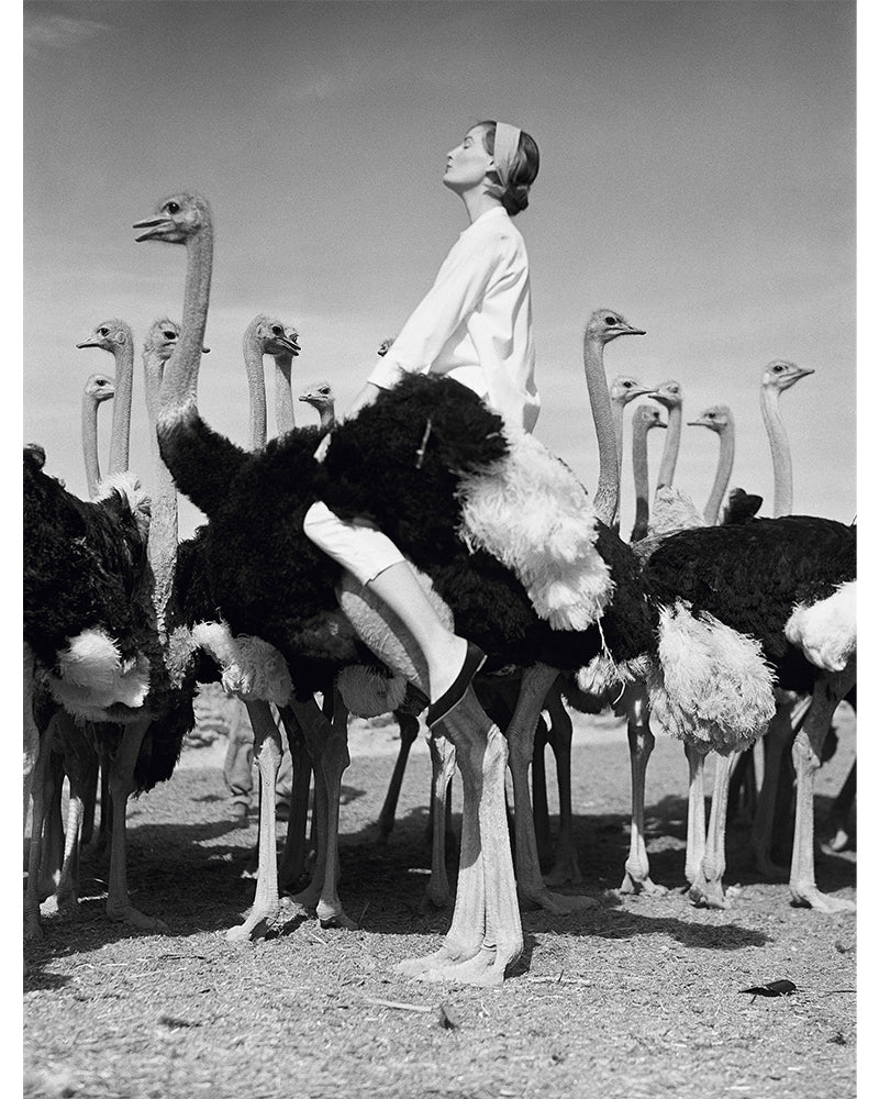  by Iconic Images – Limited Edition Print.