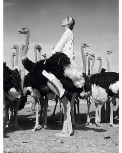 Wenda Parkinson on an ostrich, 1951 – Limited Edition Print by Norman Parkinson – Limited Edition Print.