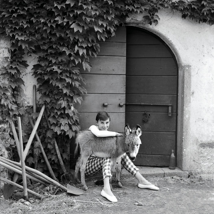 Audrey Hepburn with a donkey, 1955 — Limited Edition Print - Norman Parkinson