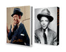 Sinatra — Terry O'Neill Limited Edition Boxset