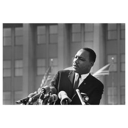 Martin Luther King, Jr. at the Illinois Rally for Civil Rights, 1964 - Limited Edition Print by Ted Williams – Limited Edition Print.