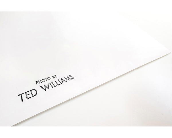 Duke Ellington in the spotlight — Limited Edition Print - Ted Williams