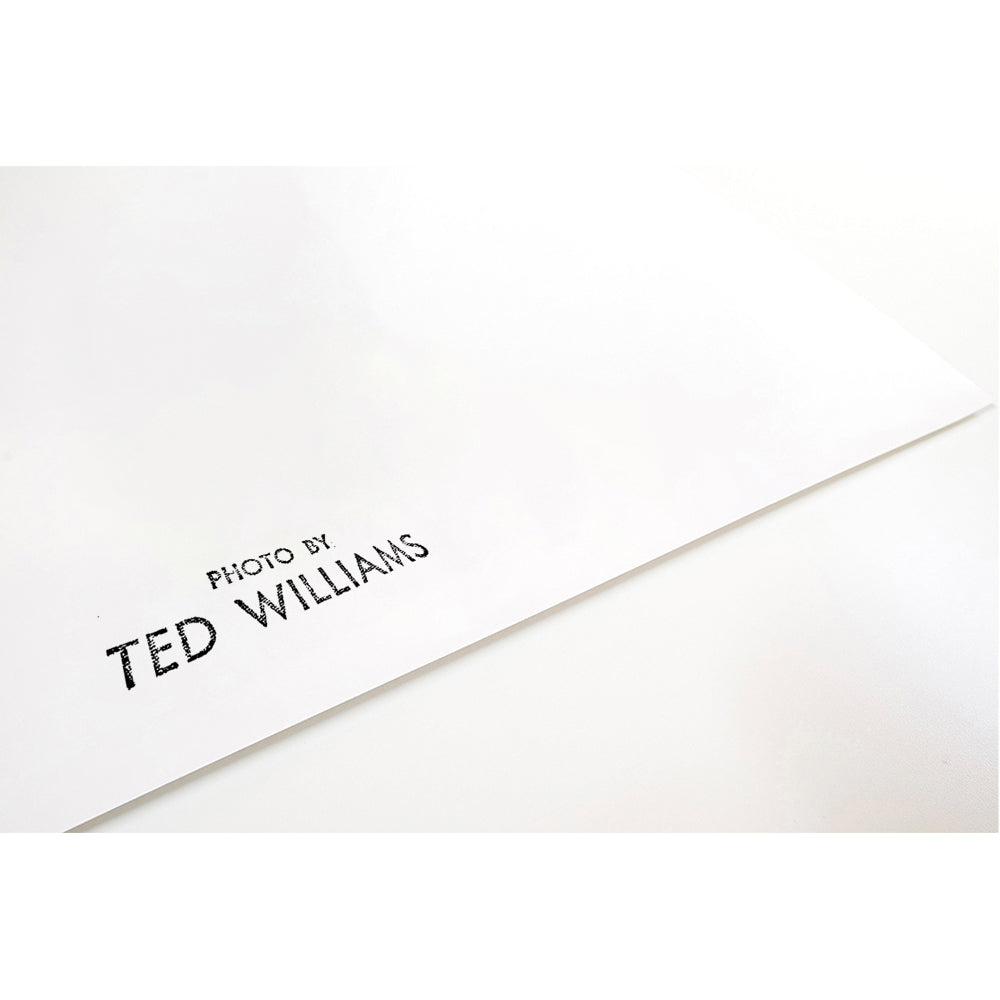 Dizzy Gillespie for Downbeat Magazine, 1960 — Limited Edition Print - Ted Williams